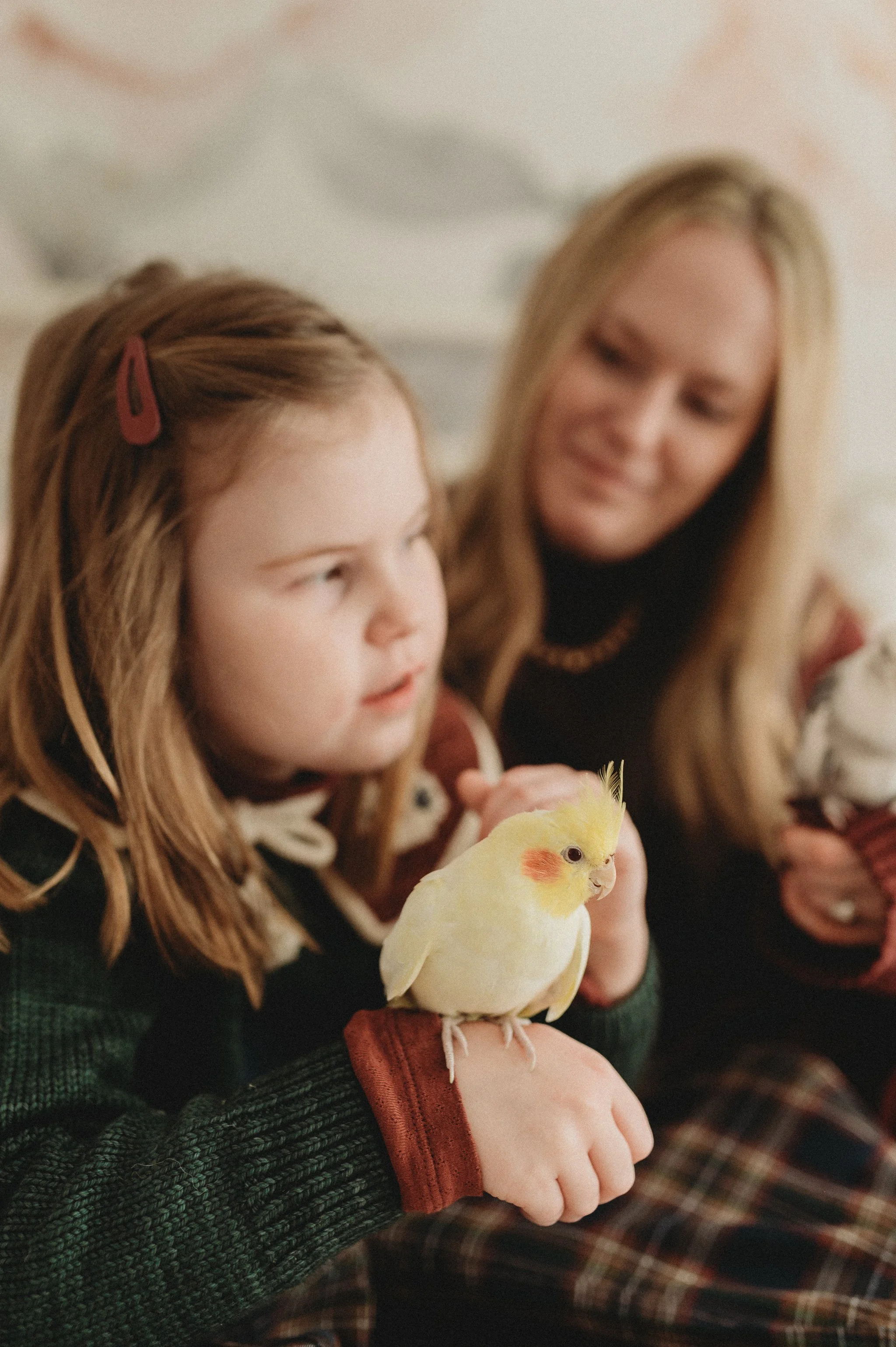 Mother and daughter sitting together holding pet cockatiels