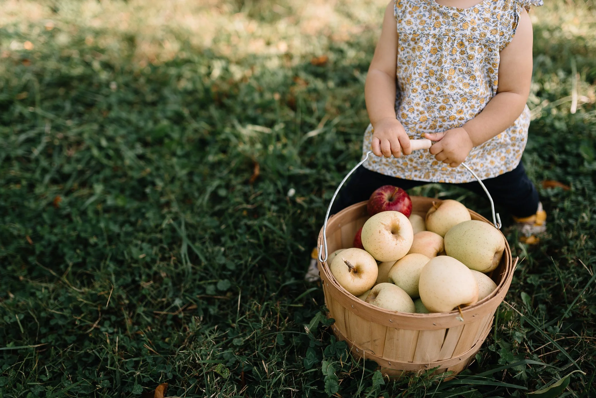 Documentary-Family-Photography-Apple-Orchard-Lynds-Columbus-Ohio.jpg