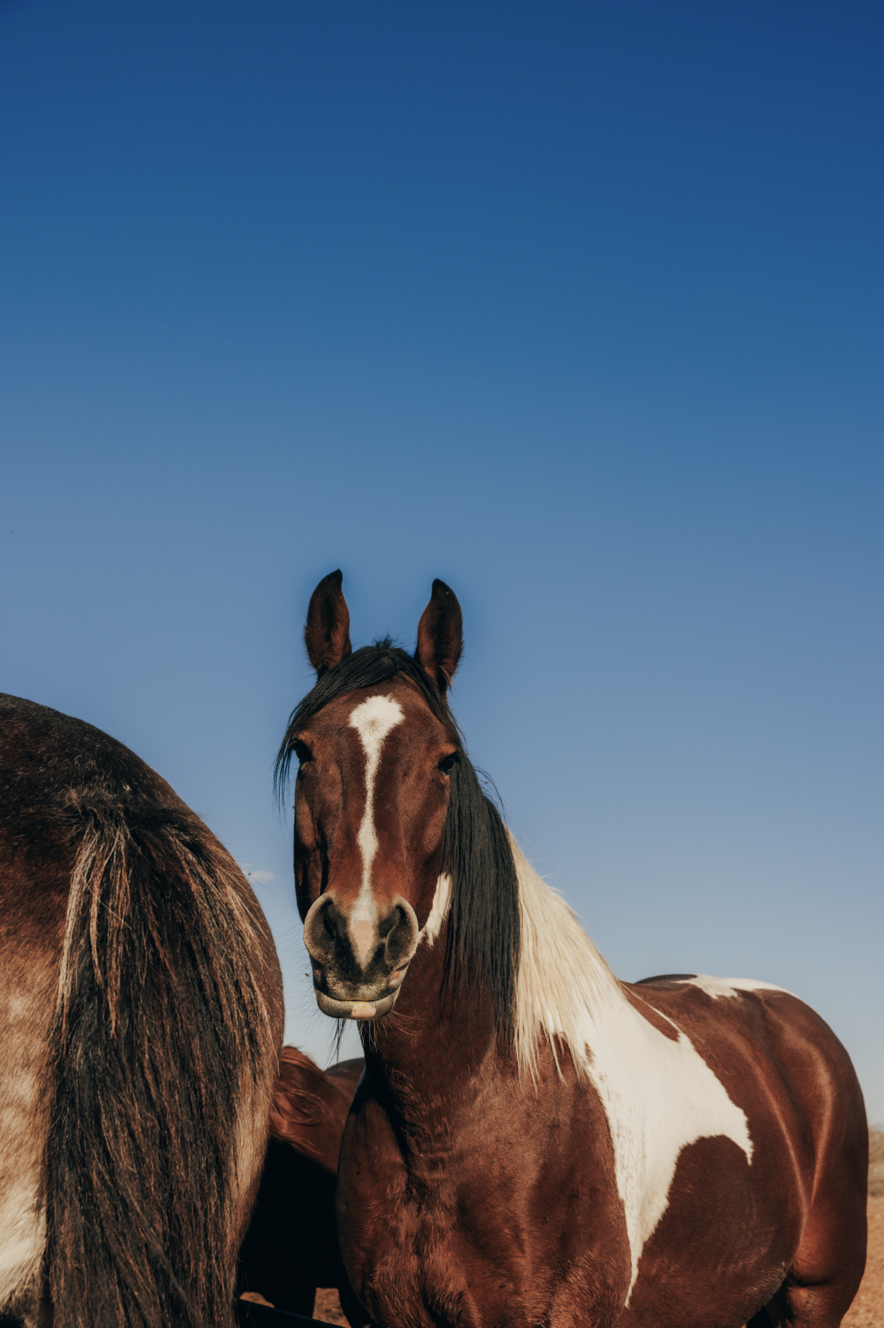 Screenshot 2026-02-01 at 1.04.19 PM.png