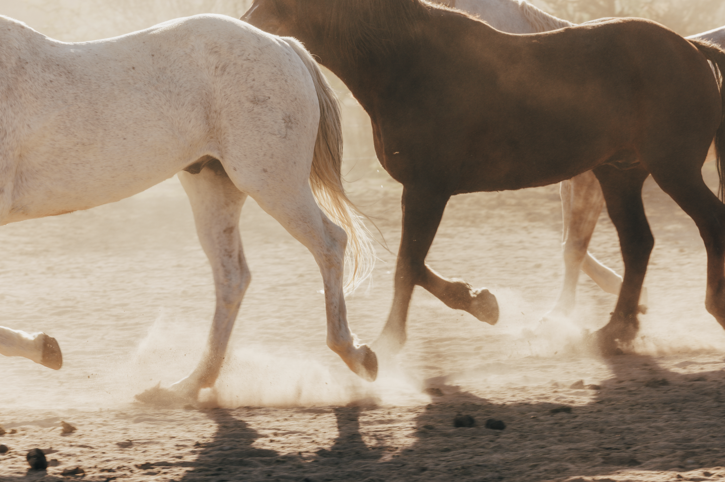 Screenshot 2026-02-01 at 1.04.11 PM.png