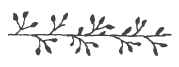 Divider-Branch.png