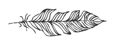 Feather.png