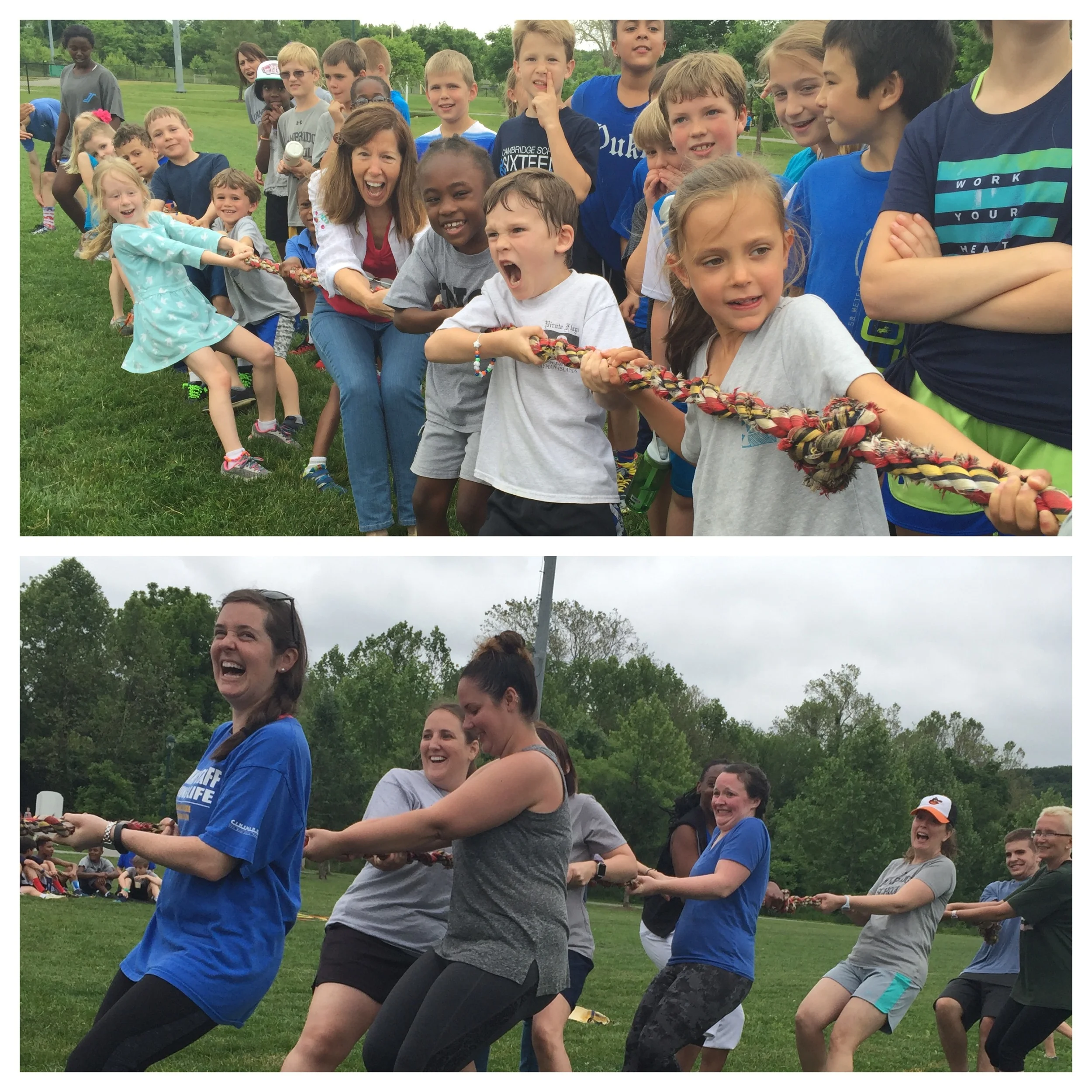 Kindergarten vs. Cambridge Teachers Tug Of War