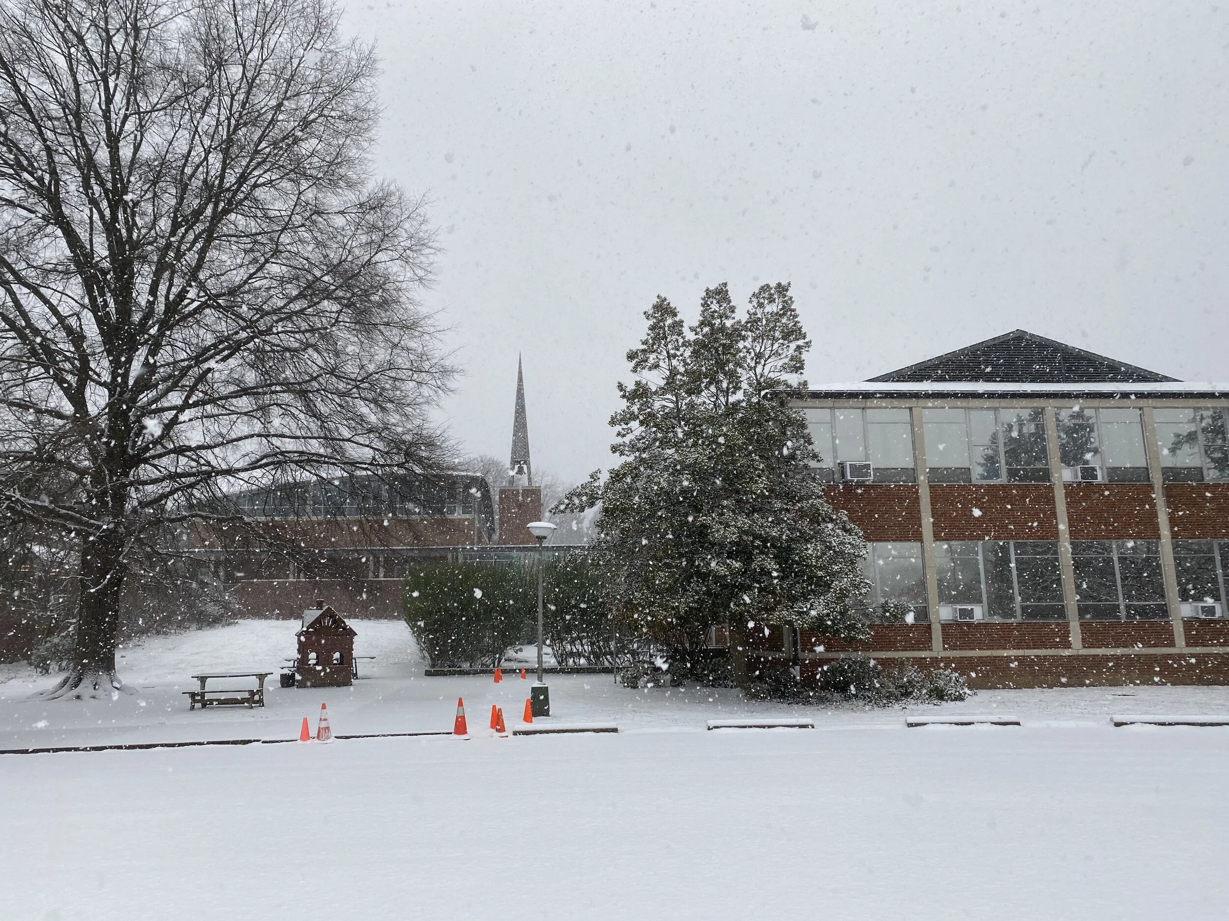 Advent Reflection: Joy