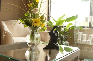 Consult Room with Flowers and Statue.jpg