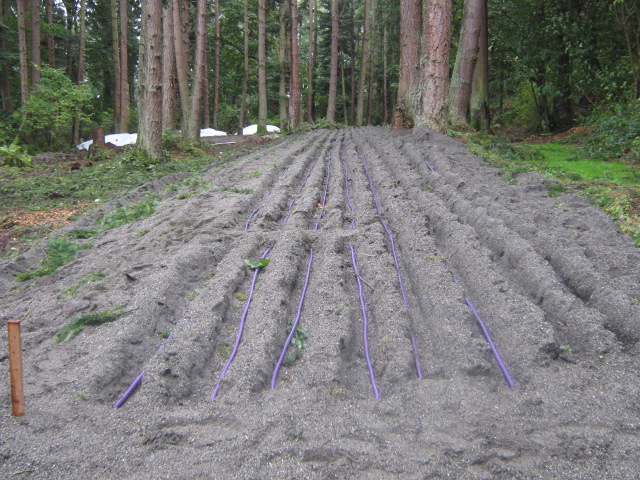  Septic Design &amp; Soils Evaluation (PERC),&nbsp; in Skagit, Snohomish, Island &amp; Whatcom Counties 