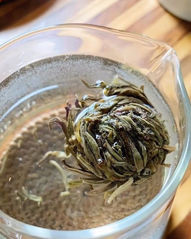 Flower(ing) tea time.
&mdash;
&mdash;
Yes, I am doing ANOTHER tea post, but honestly..LOOK AT HER GROW! If you&rsquo;re in need of something to inspire your meditation practice, look no further! I&rsquo;m instantly transfixed by watching her unfold. 