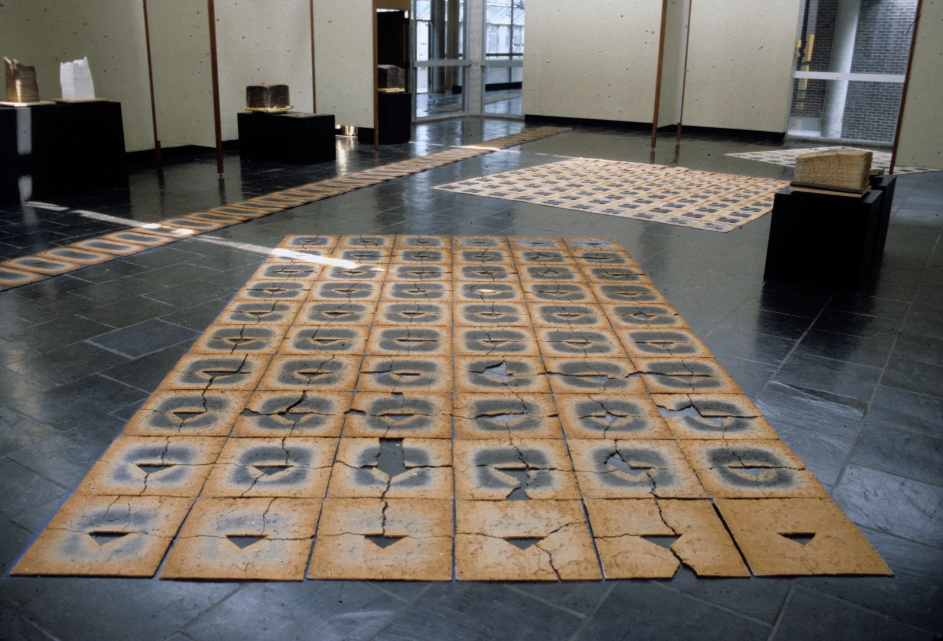 MFA Thesis installation view.jpg