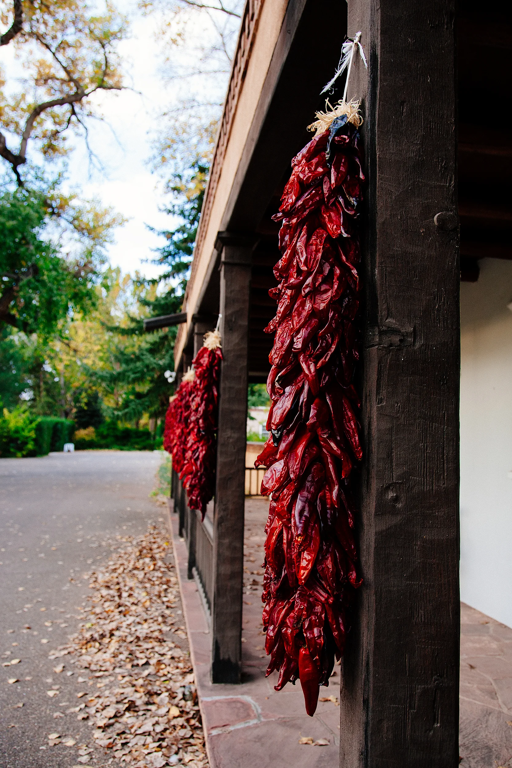 Chili ristras
