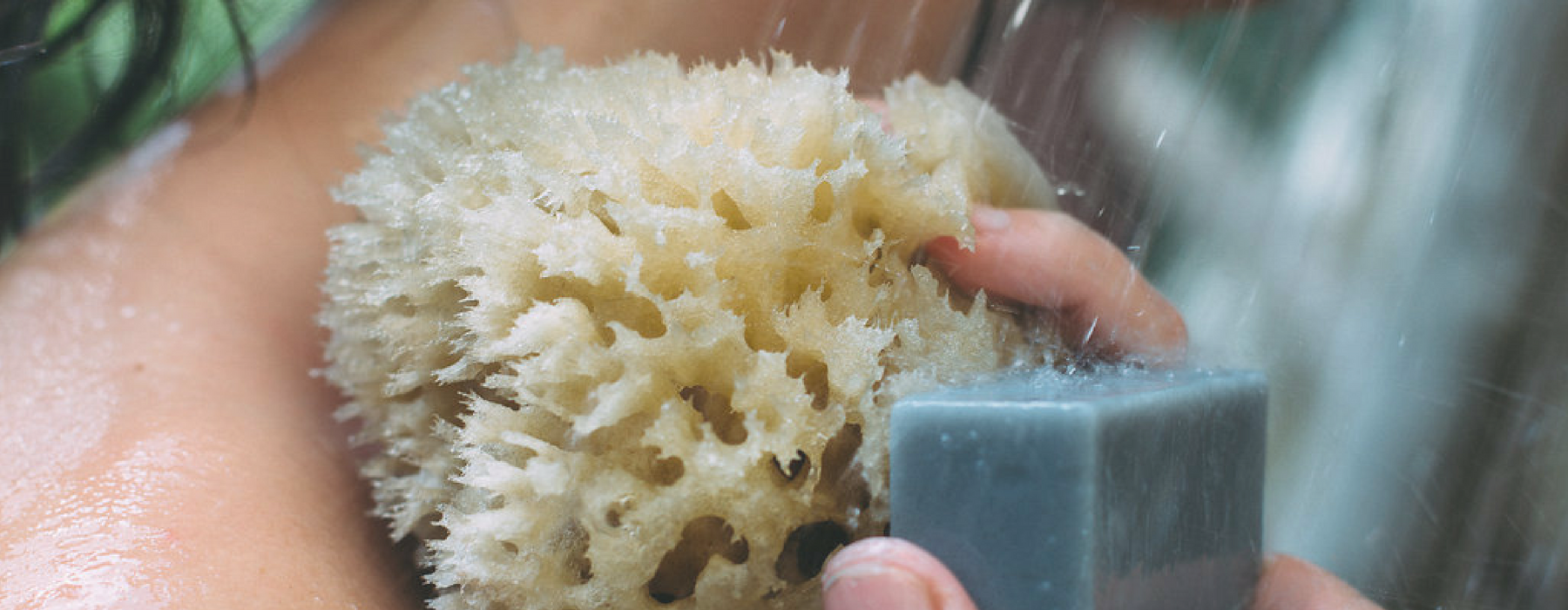 thalassotherapy.sea.sponge.png