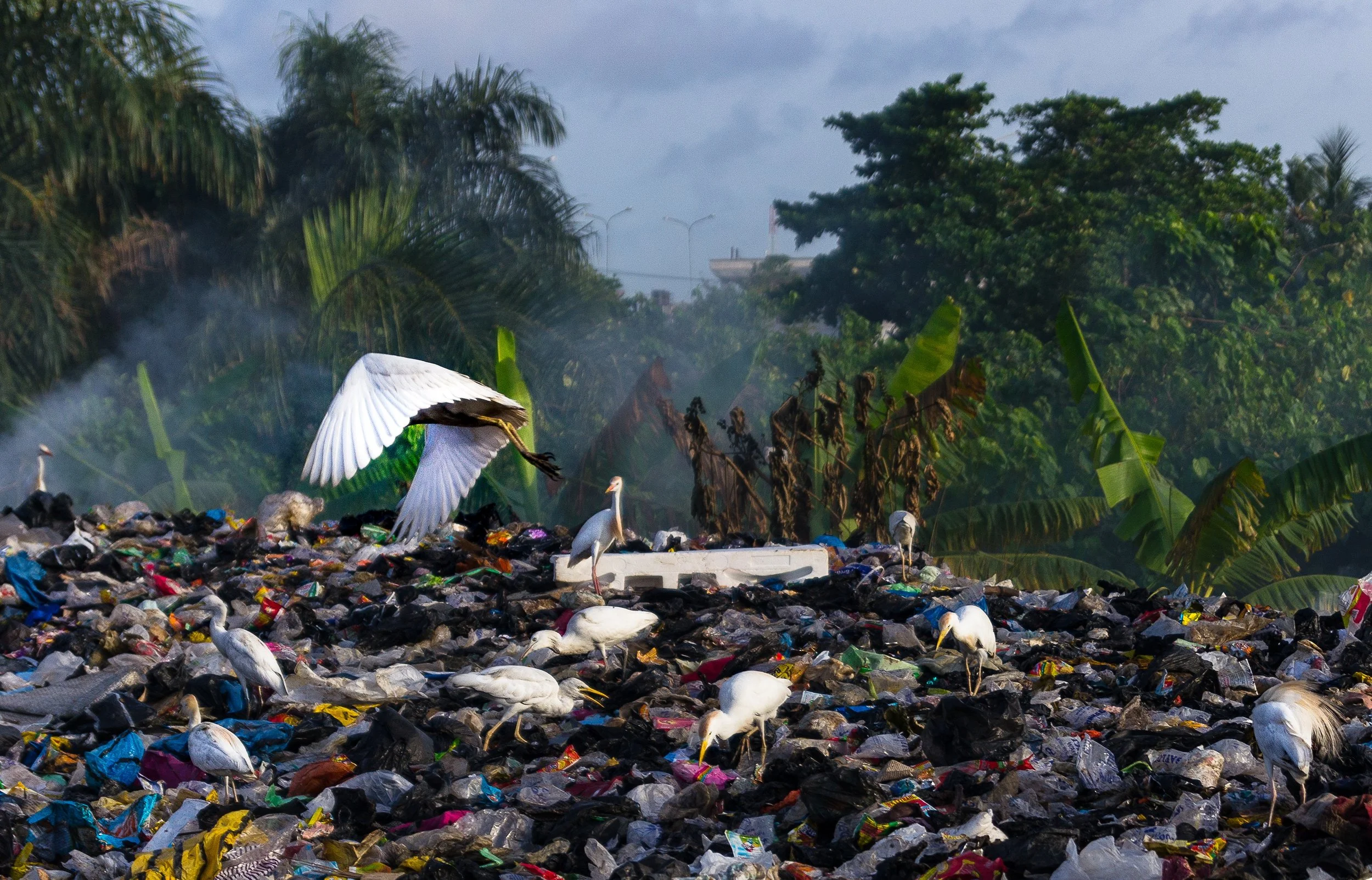 A landfill in Nigeria. The tropical setting makes it that much more awful to stomach.