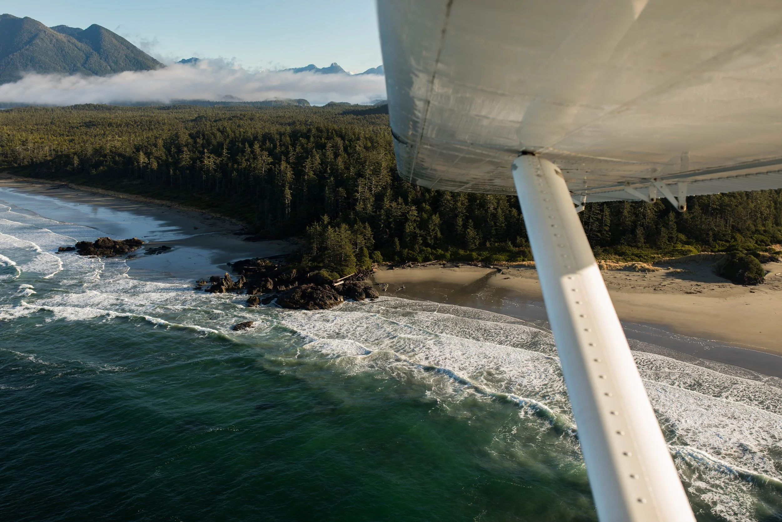 The wild land of Tofino, B.C.