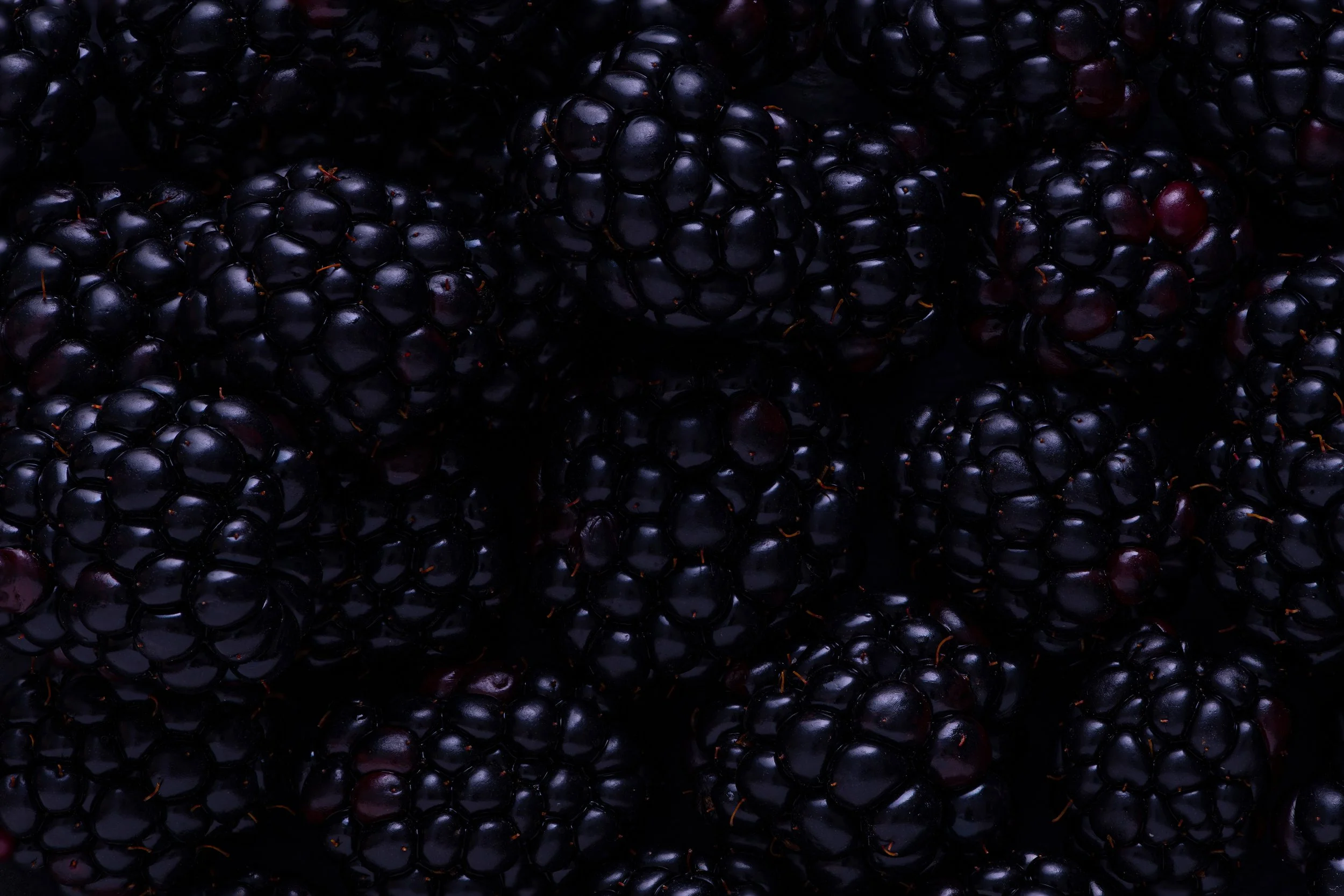 Mmmmmm delicious blackberries.