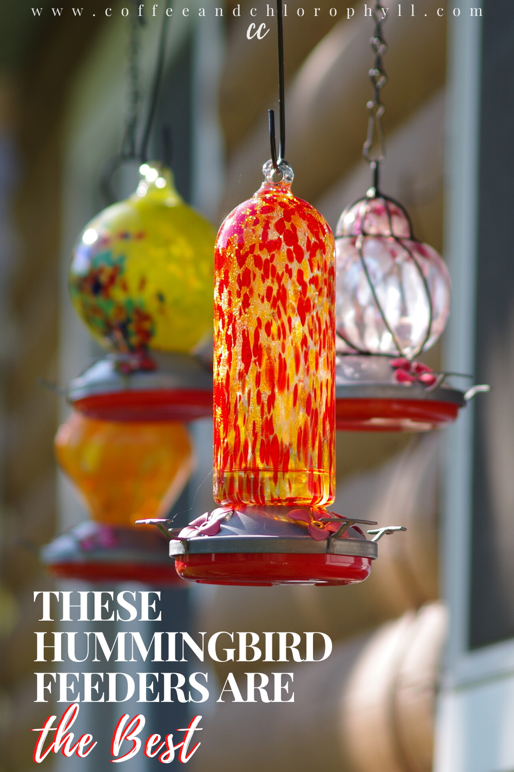 bains rumson nj on Hummingbirdfeeders Blog Coffee Chlorophyll