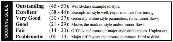 scoring_guide.png