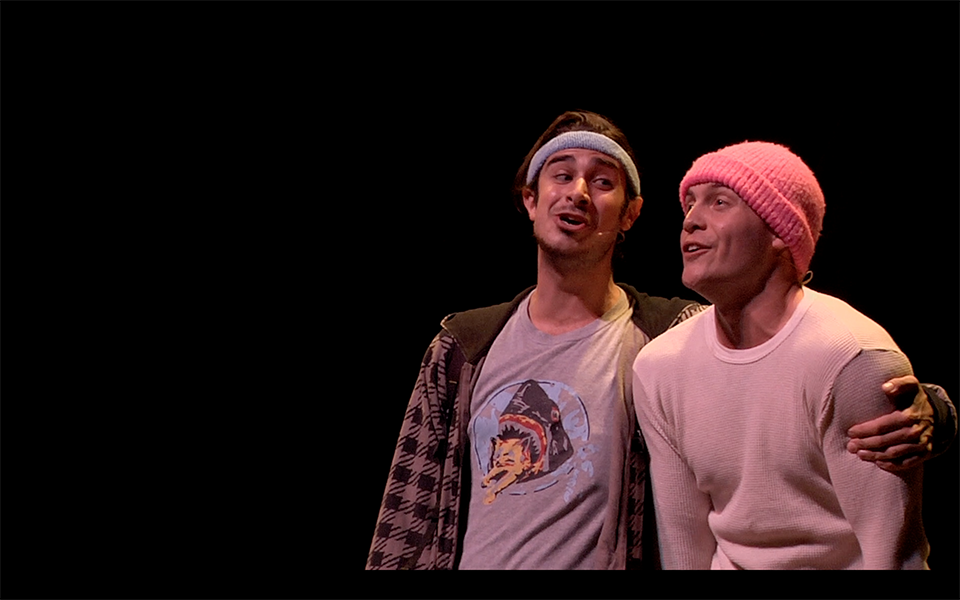 The Guy Who Didn T Like Musicals Dvd