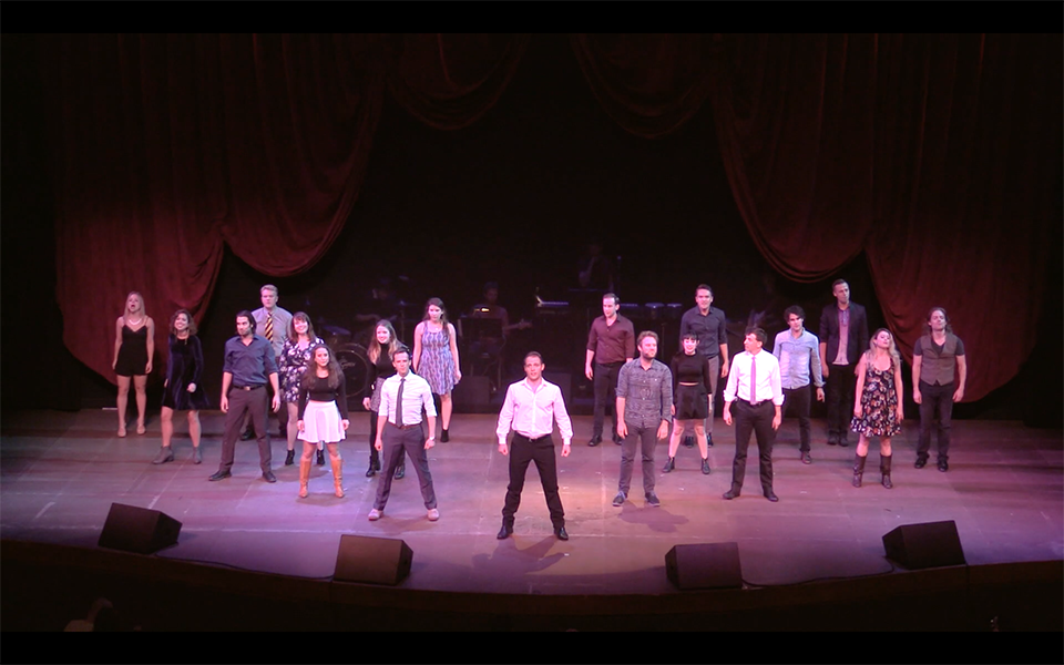 The Guy Who Didn T Like Musicals Dvd