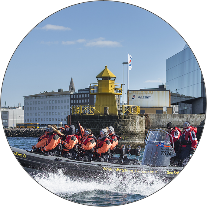 Whale Watching RIB Circle Image.png