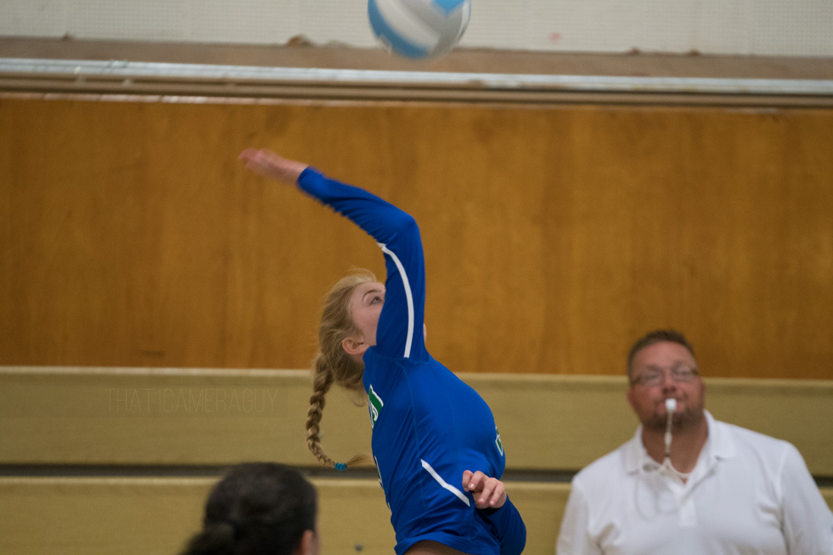 DSC01687.jpg