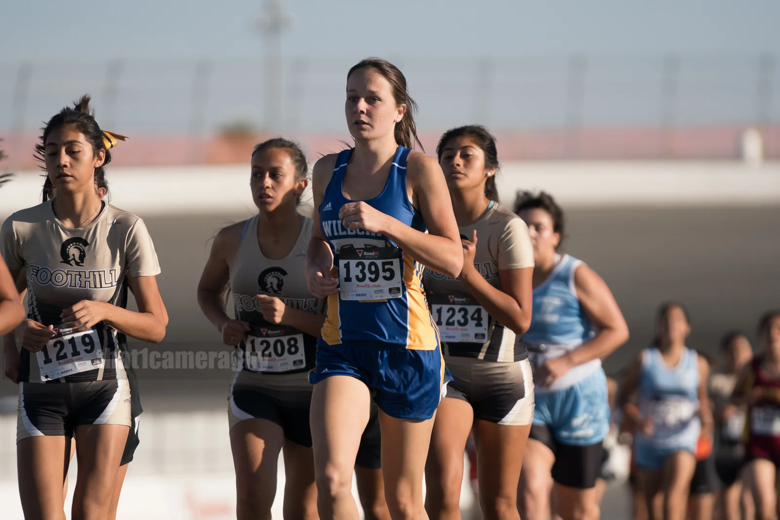 XC_Black_Gold_Rush_023.jpg