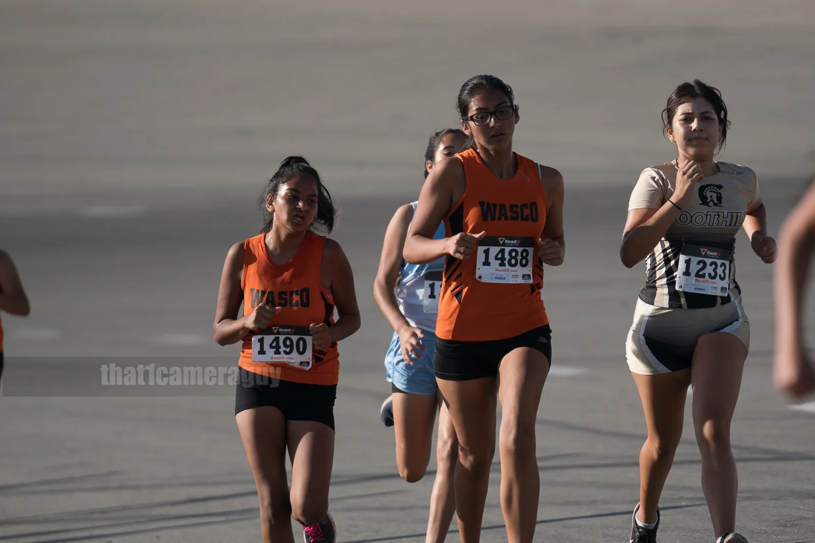 XC_Black_Gold_Rush_100.jpg