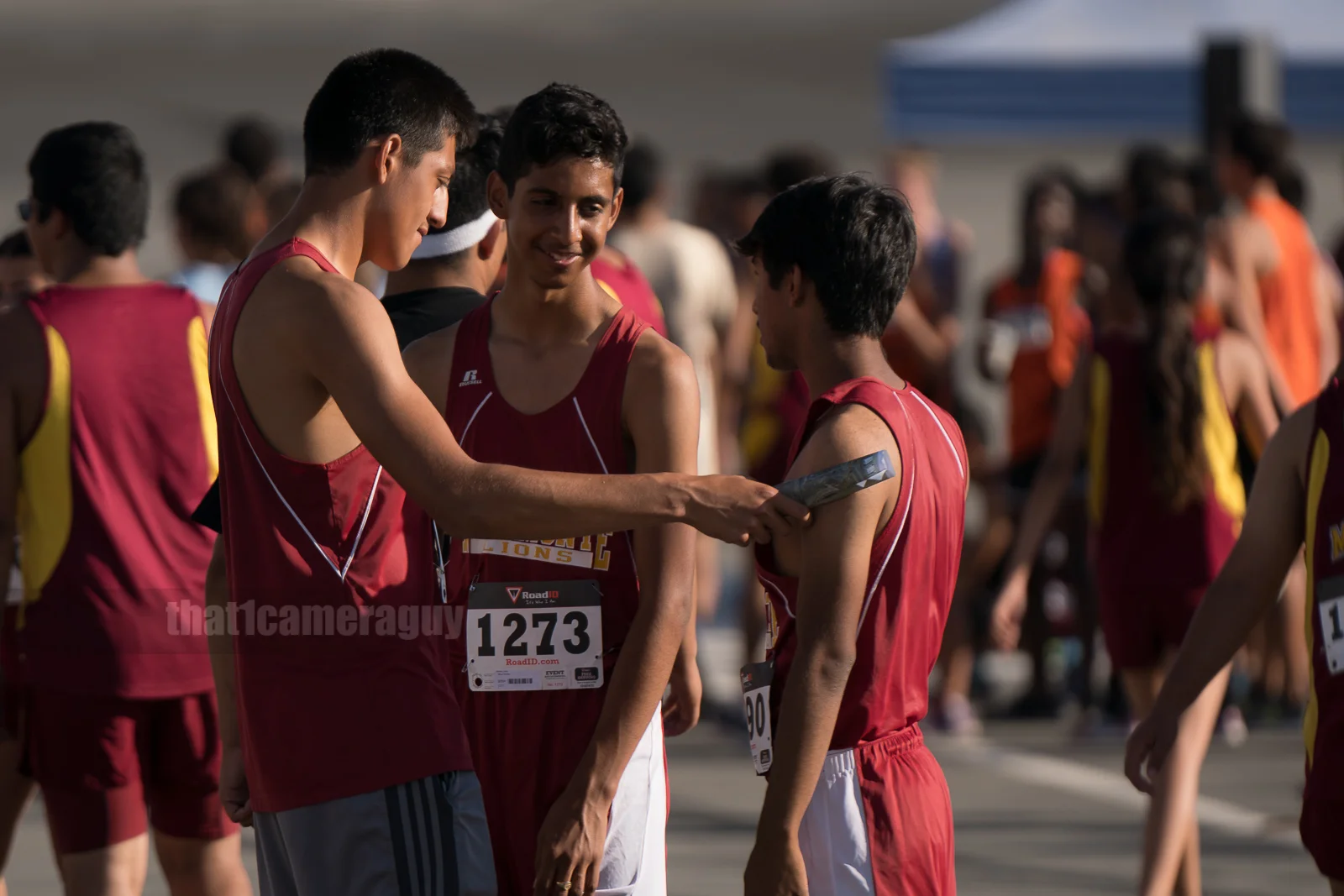 XC_Black_Gold_Rush_120.jpg