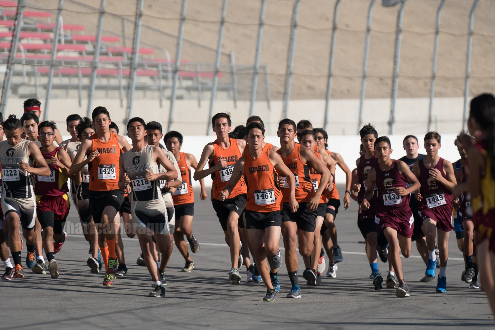 XC_Black_Gold_Rush_135.jpg