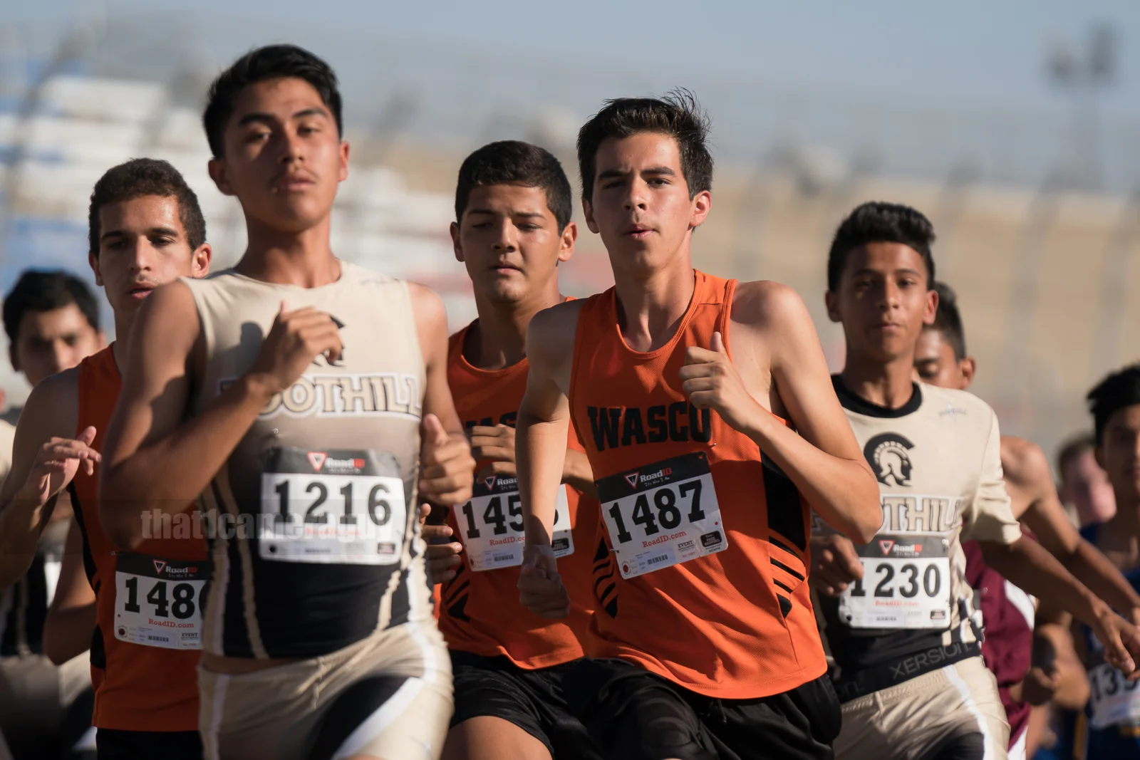 XC_Black_Gold_Rush_139.jpg