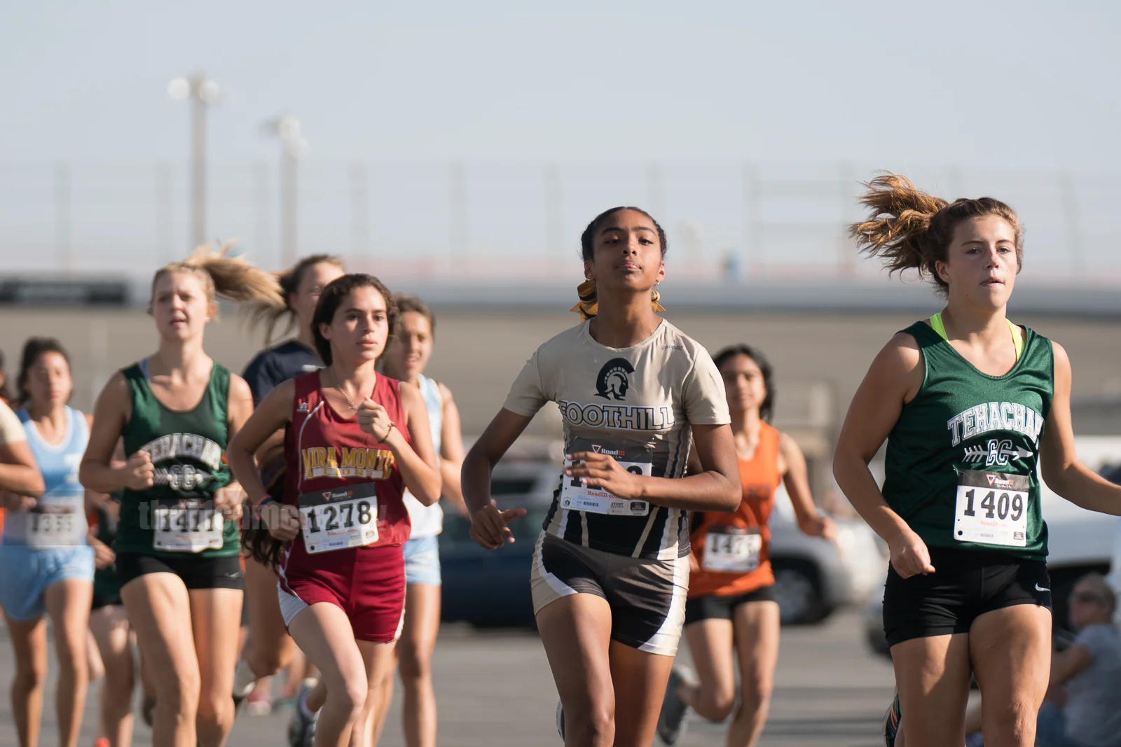 XC_Black_Gold_Rush_258.jpg