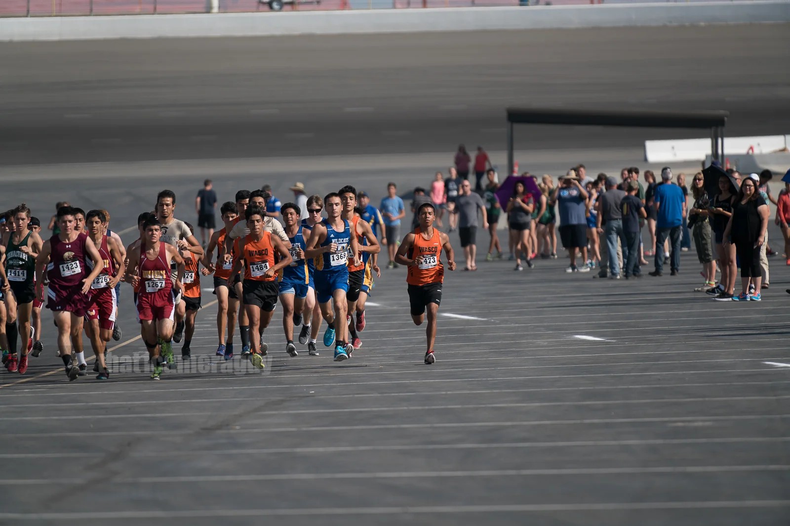 XC_Black_Gold_Rush_329.jpg