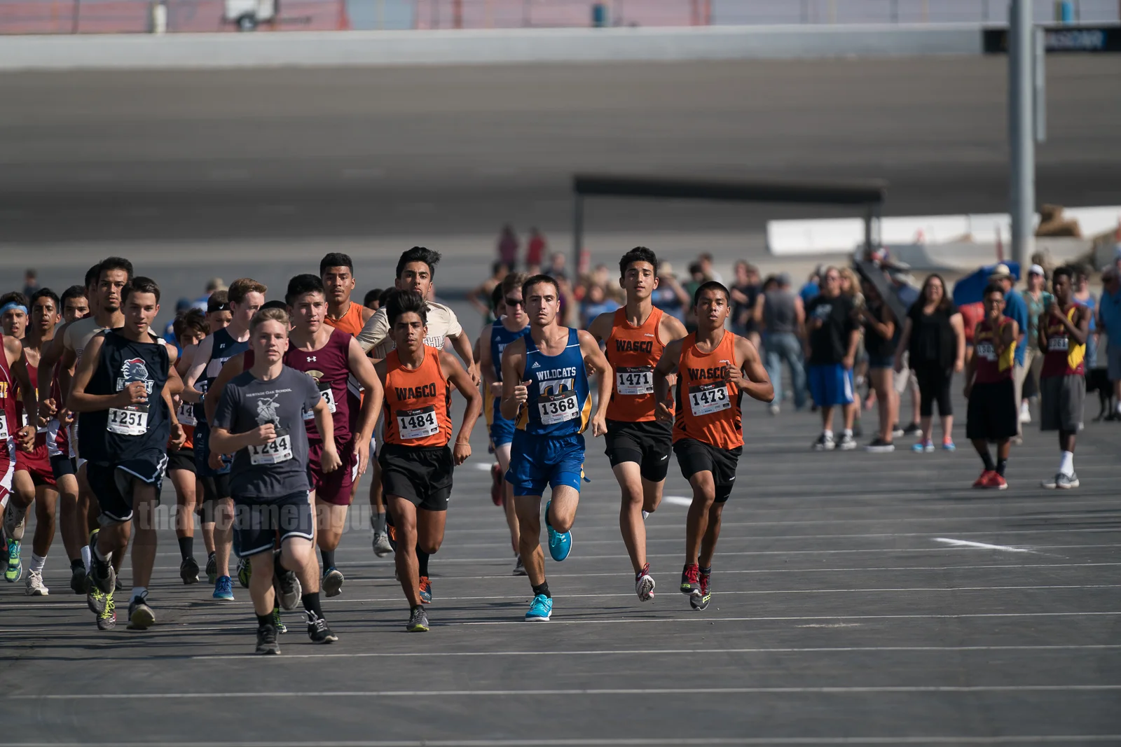 XC_Black_Gold_Rush_331.jpg