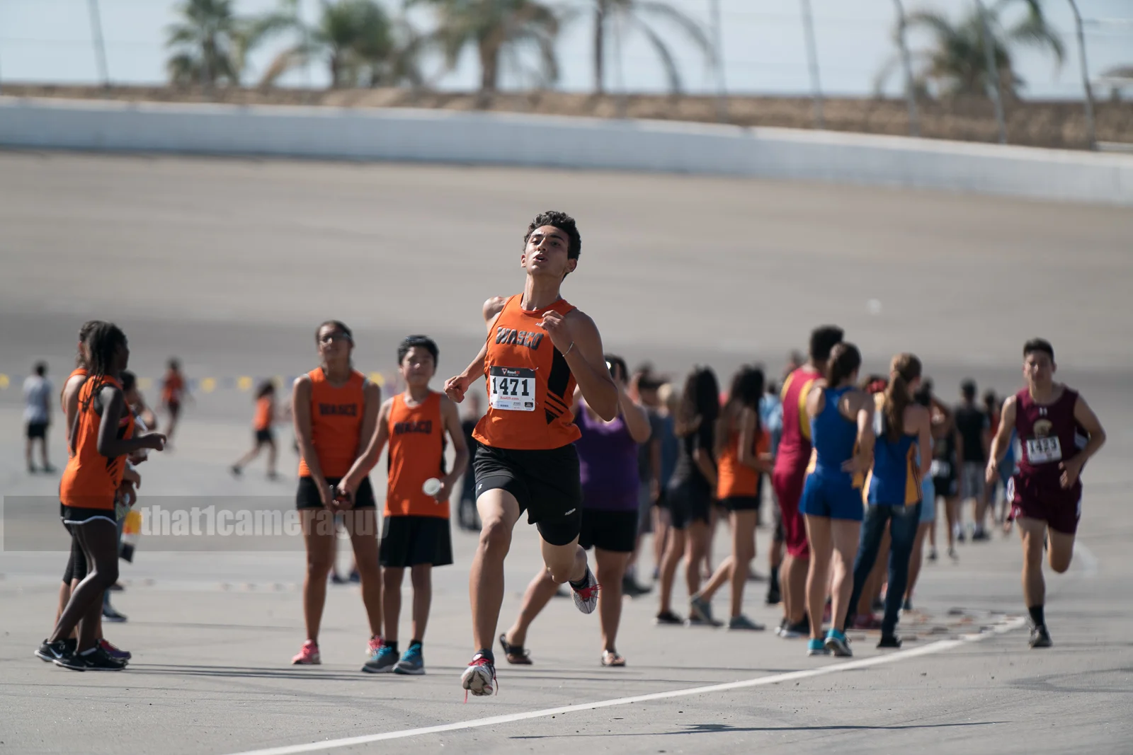 XC_Black_Gold_Rush_352.jpg