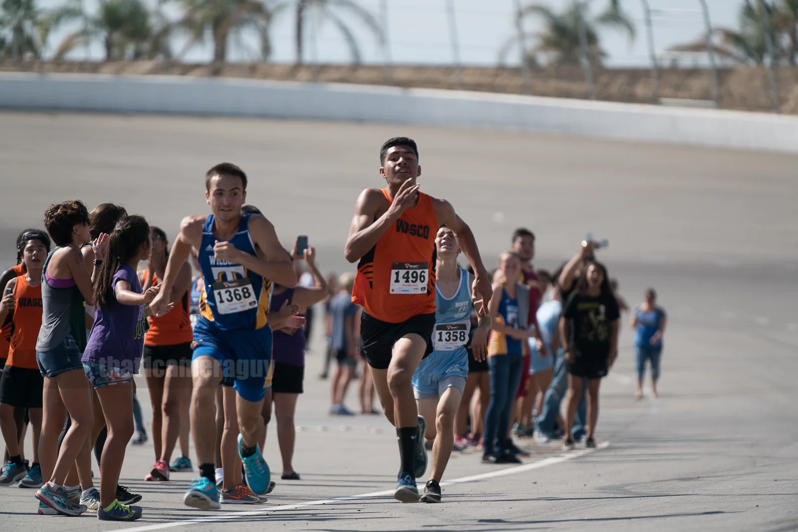 XC_Black_Gold_Rush_354.jpg