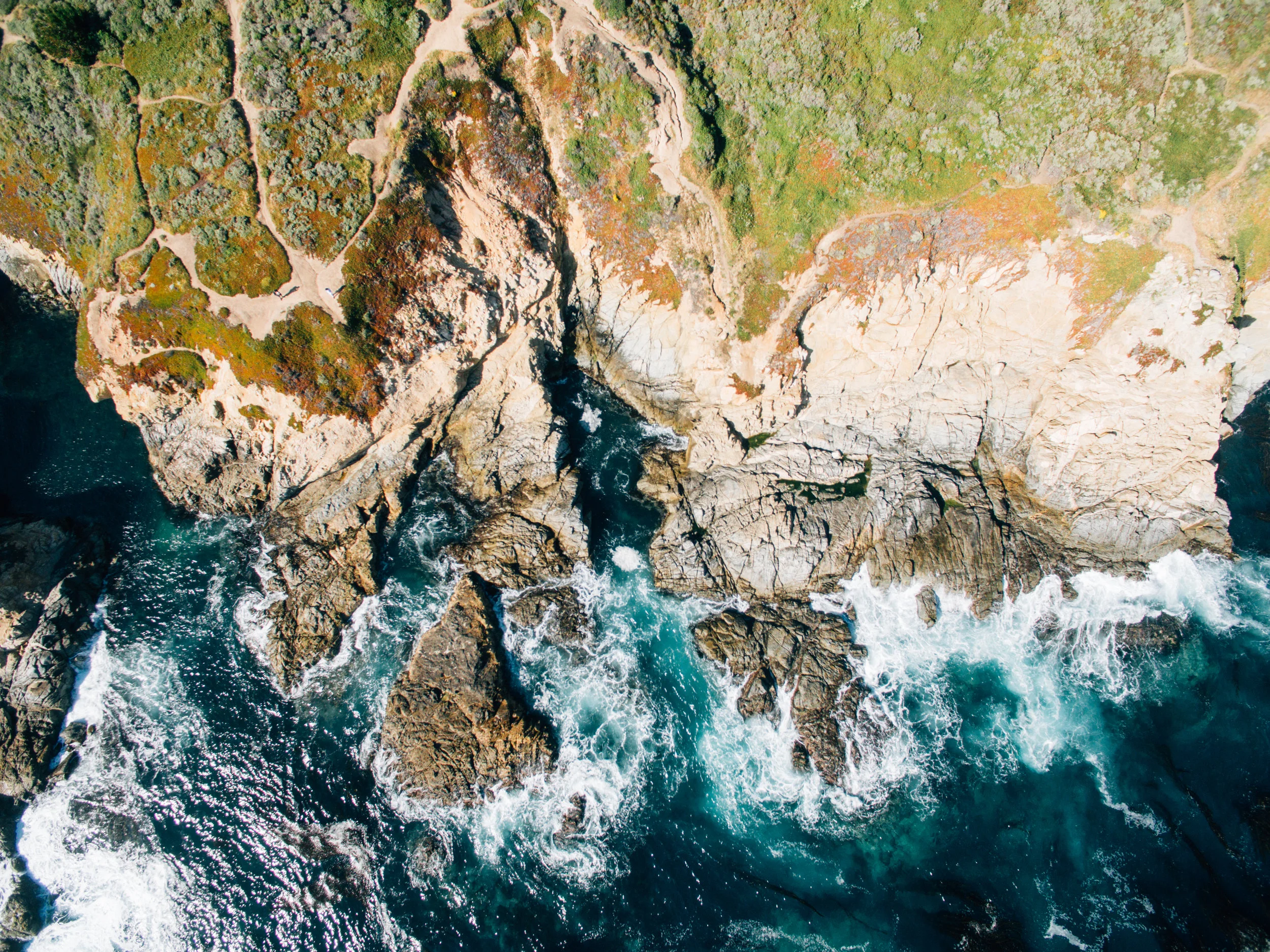 DJI_0002 2.jpg