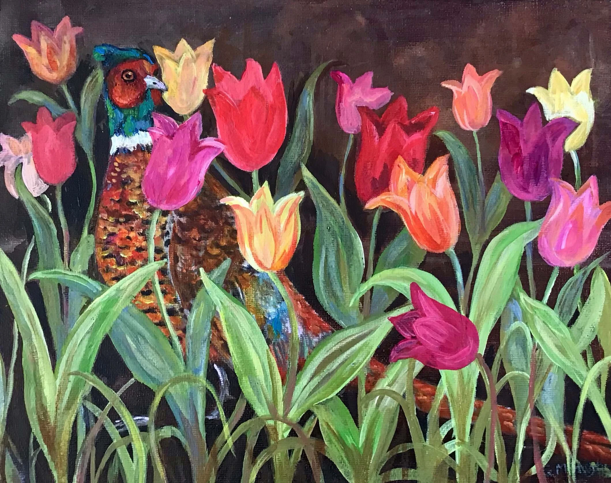 Pheasant in the Tulips