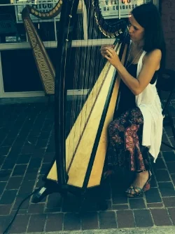 Tracy Stuever, Studio Owner - harp, piano, guitar, voice, drums
