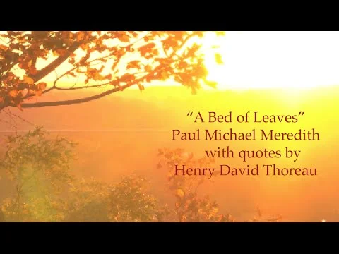"A Bed of Leaves" by Paul Michael Meredith, quotes by Henry David Thoreau.