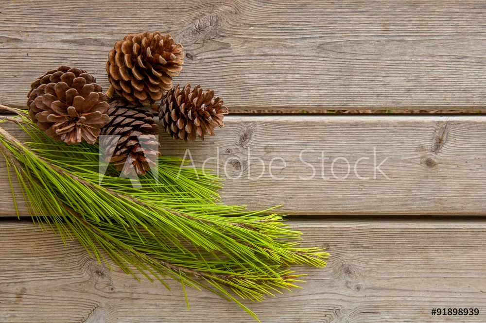 pineconetable.jpg