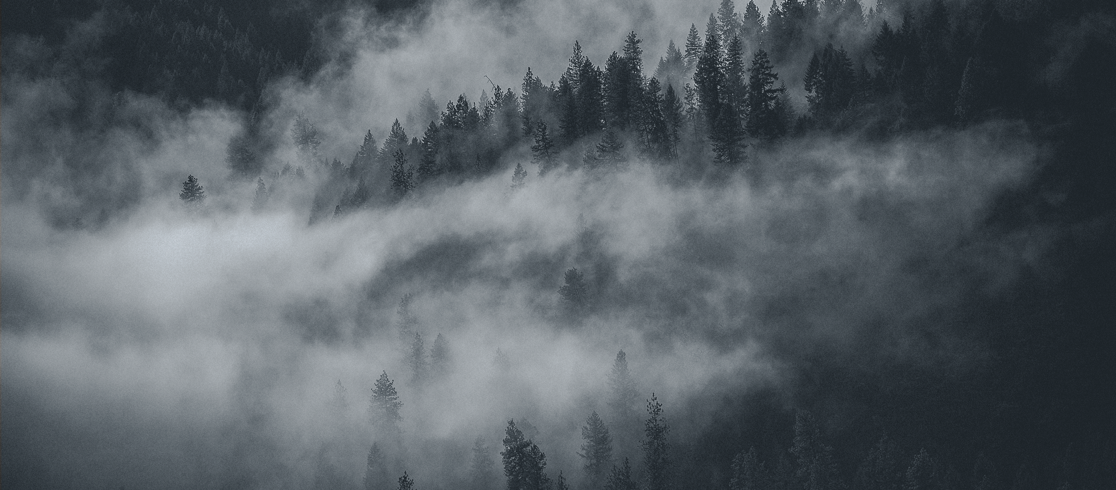 MountainTrees.png