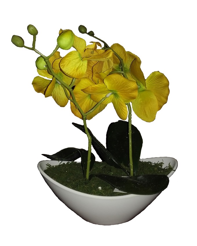 jan yellow wild orchid in plastic boat - 30cm n4,000