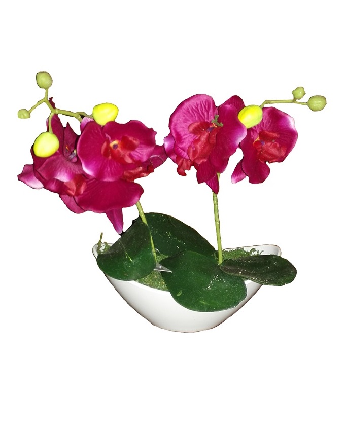 jan purple wild orchid in plastic boat - 30cm n4,000