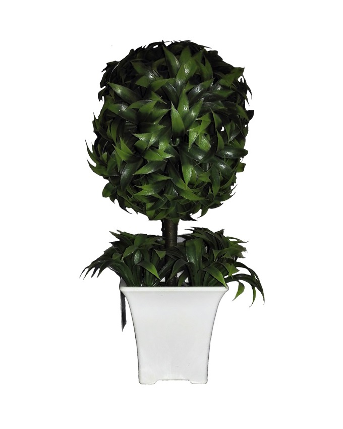 NEW VANA PLANT IN WHITE PLASTIC POT - 25CM N5,000