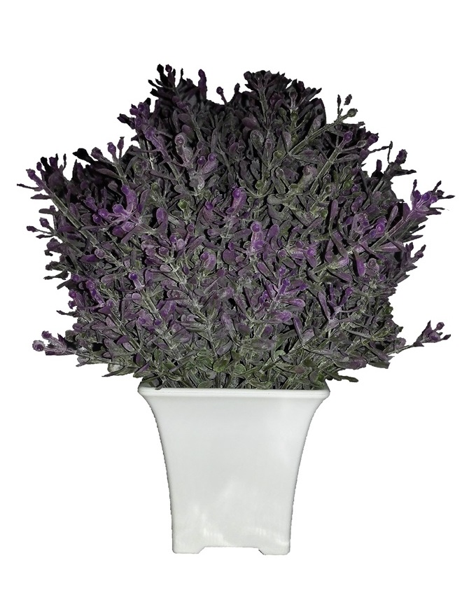NEW JANICE PURPLE FLOWER IN PLASTIC POT - 21CM N5,600