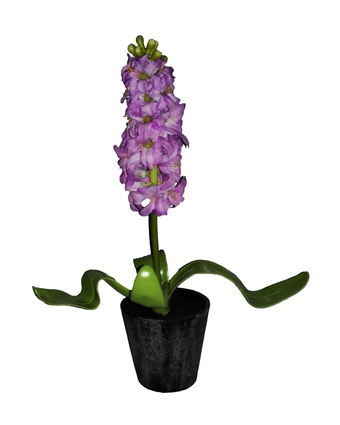 NEW VINO PLANT IN PLASTIC POT 35CM - LILAC N3,900
