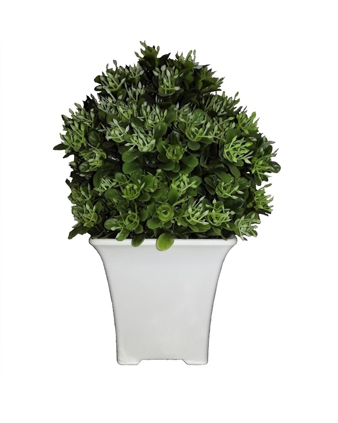 NEW DEVON BABY GREEN PLANT - 19CM N5,500