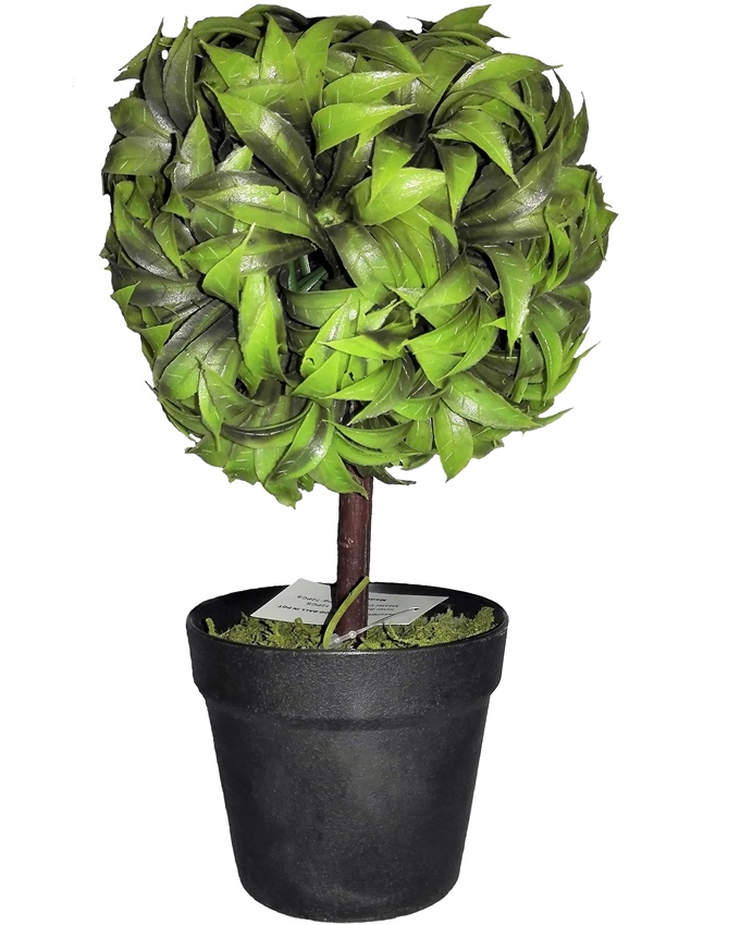 NEW DORSET GREEN PLANT IN BLACK POT - 22CM N3,500