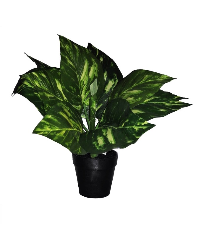 NEW MYKOS POTTED PLANT - 30CM N3,200
