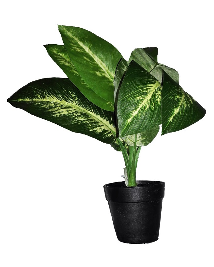 NEW MYKOS E2 POTTED PLANT N3,200