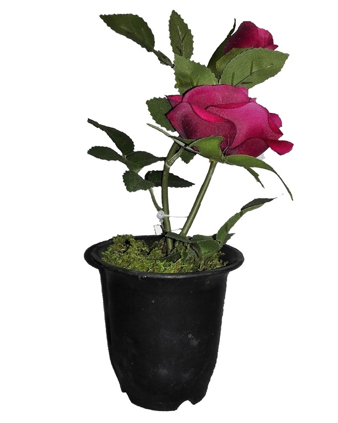 NEW VELVET ROSE IN SMALL PLASTIC WITH GREEN LEAF DETAIL 22CM - RED N2,500