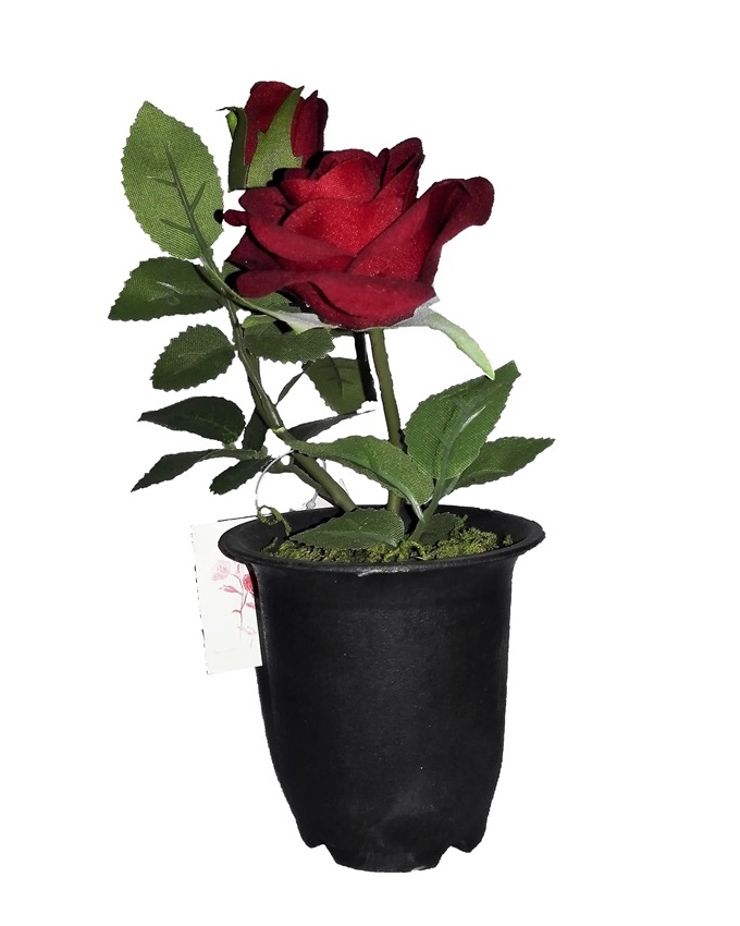 NEW VELVET ROSE IN SMALL PLASTIC WITH GREEN LEAF DETAIL 22CM - SCARLET RED N2,500